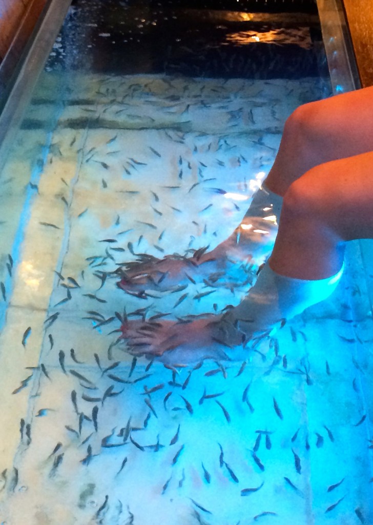 Fish Spa