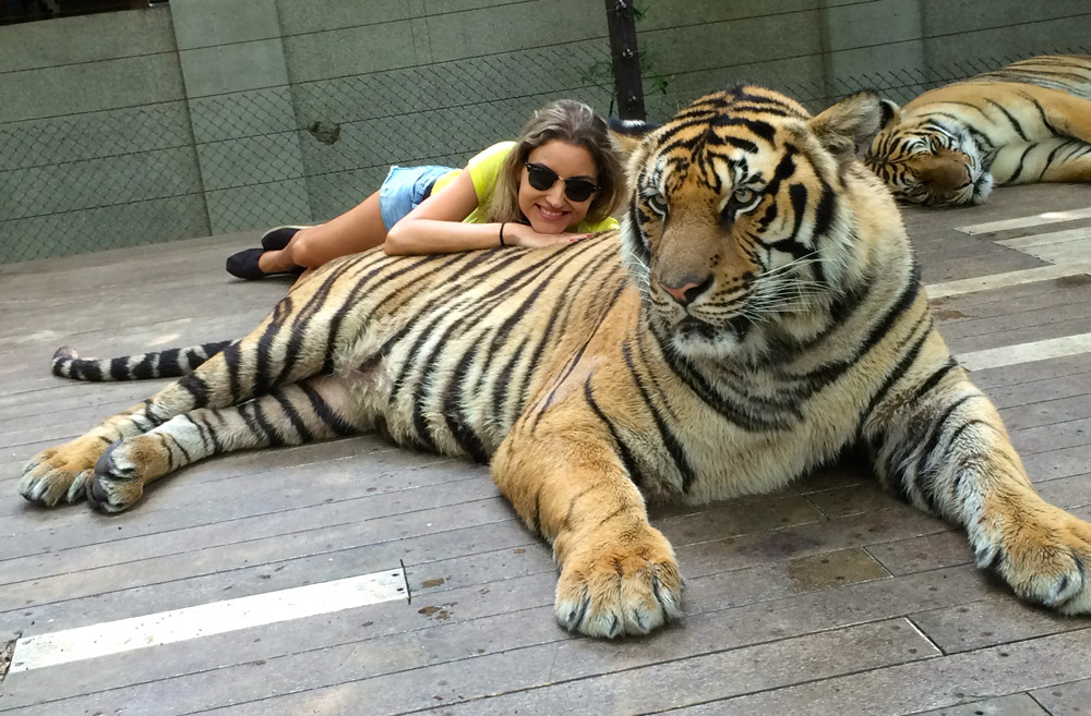 Tigre grande