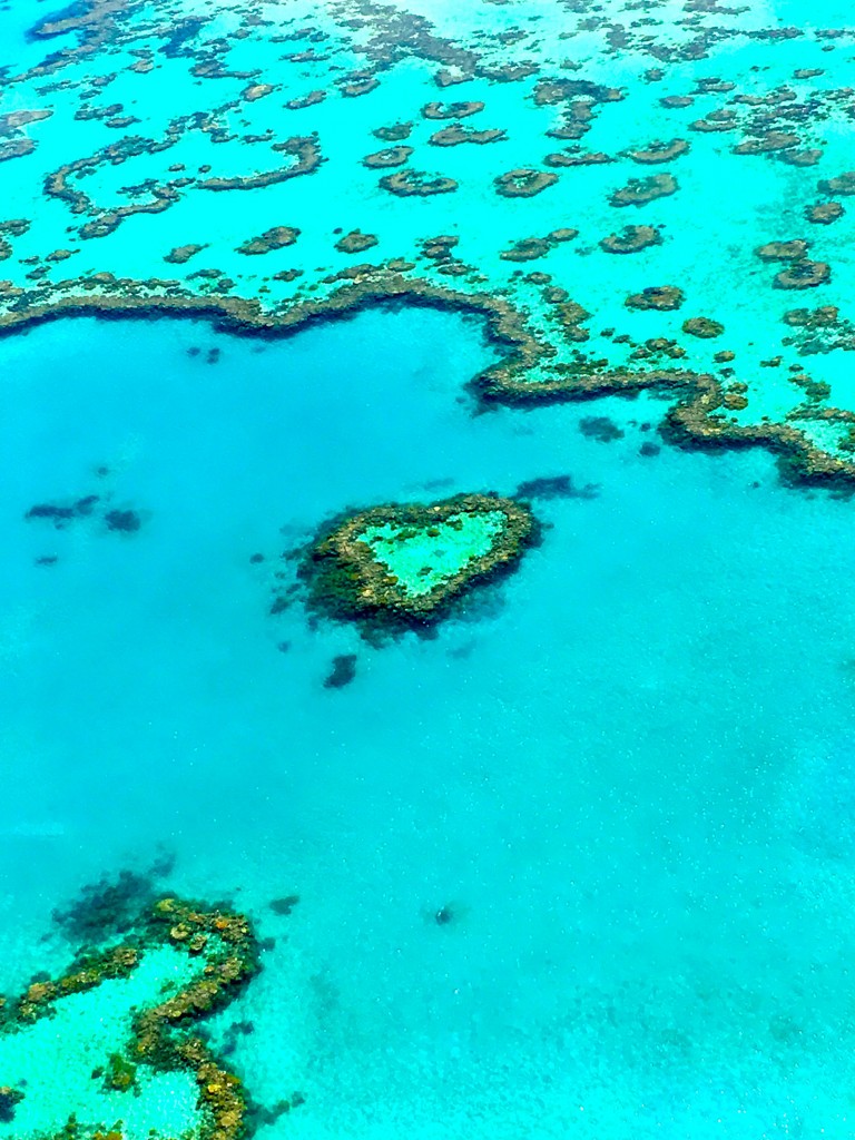 Heart Reef
