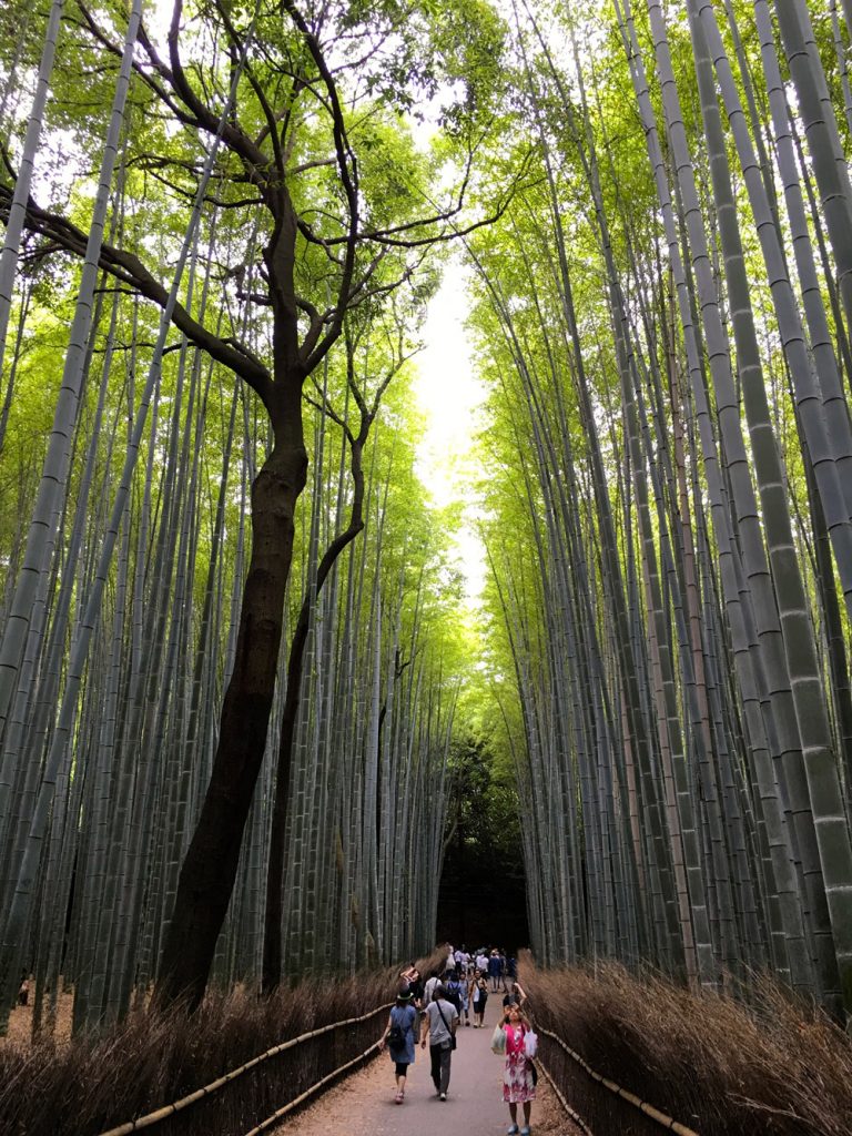 Arashiyama